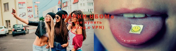 твердый Лагань