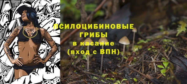 спайс Майский