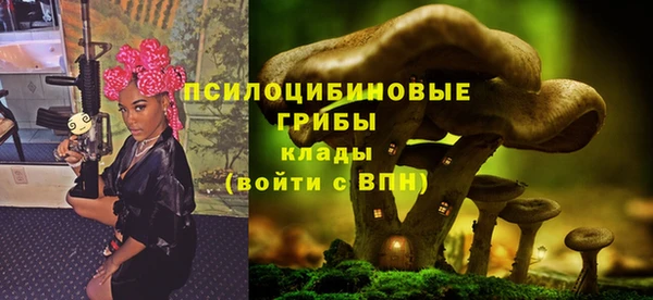 спайс Майский