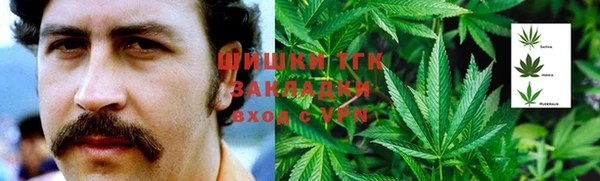 PSILOCYBIN Архангельск