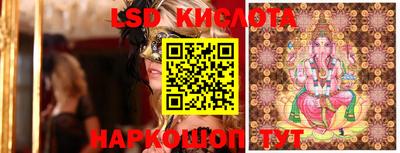 шишки Берёзовский