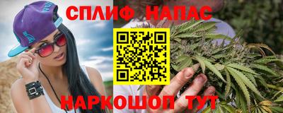 дмт Бийск