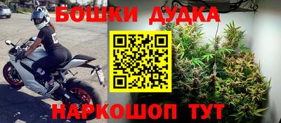 ГАЛЛЮЦИНОГЕННЫЕ ГРИБЫ Беслан