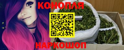 эйфоретик Аргун