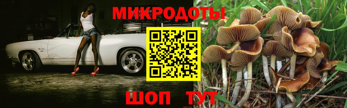 Псилоцибиновые грибы MAGIC MUSHROOMS Волгодонск