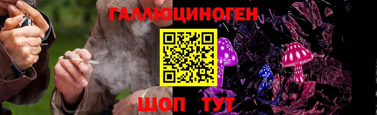 Псилоцибиновые грибы мицелий  Галлюциногенные грибы Psilocybine cubensis  Волгодонск 