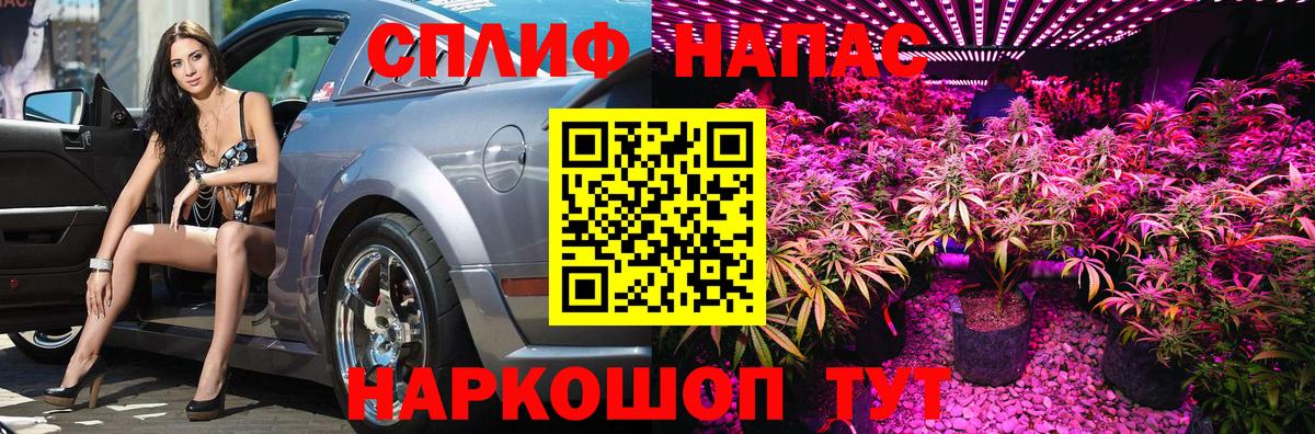 Бошки Шишки семена Волгодонск